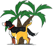 Palm Springs Animal Hospital