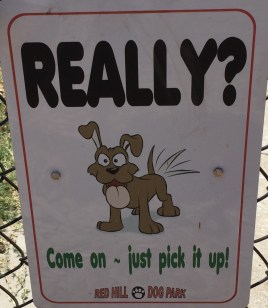 2 bedroom palm springs dog